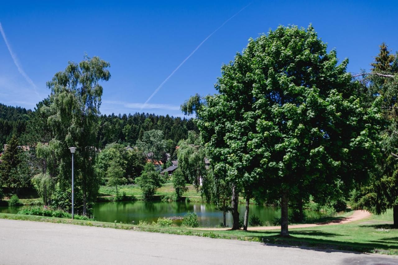 Ferienwohnung "Am Skilift" Herrischried Exterior photo